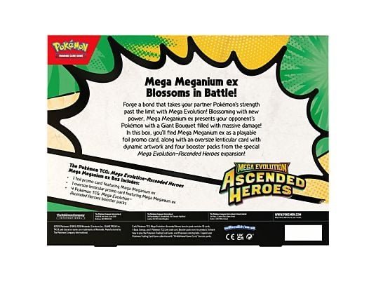 ME02.5 Ascended Heroes ex Box - Afbeelding 4